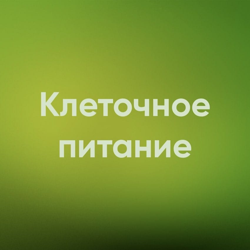 Клеточное питание
